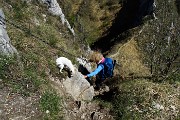 MONTE MAGNODENO e CRESTE DELLA GIUMENTA ad anello da Erve il 25 aprile 2016 - FOTOGALLERY